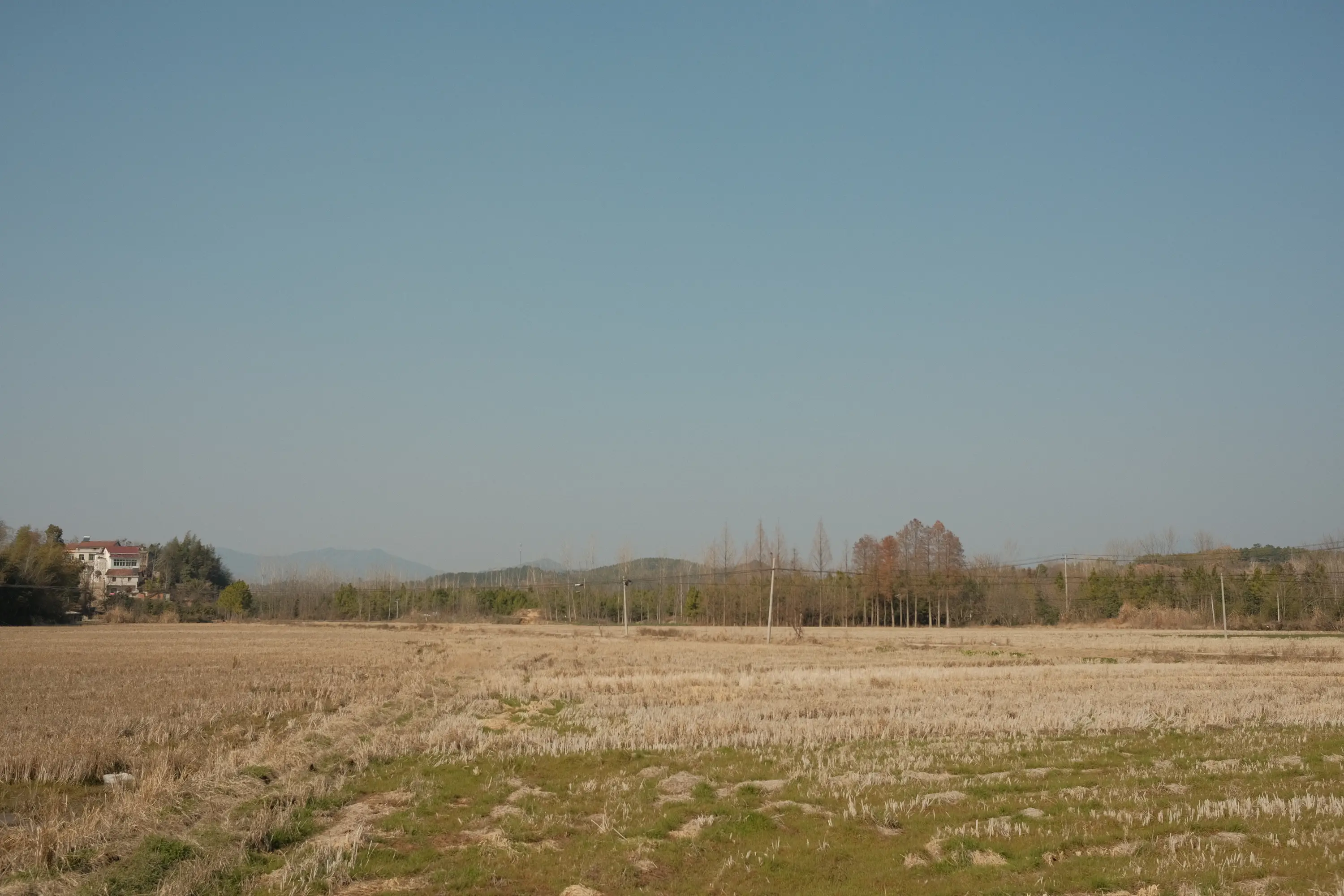 田野